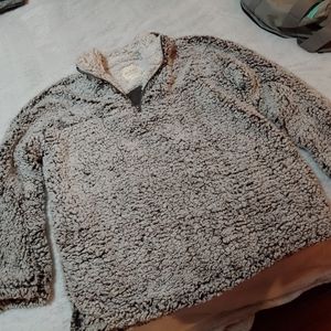 Altrd State pull over